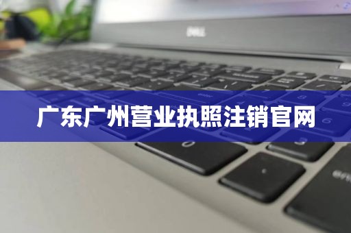 广东广州营业执照注销官网
