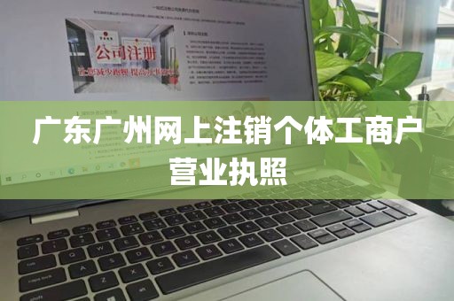 广东广州网上注销个体工商户营业执照