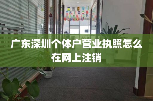 广东深圳个体户营业执照怎么在网上注销