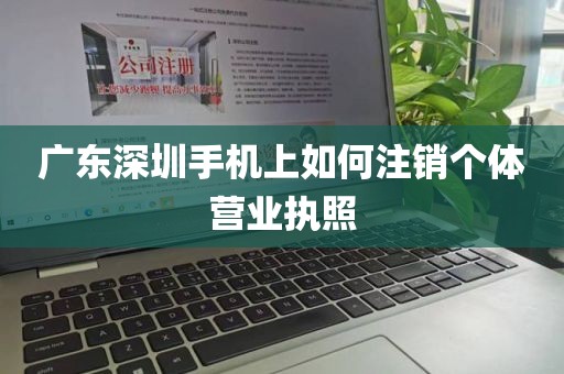 广东深圳手机上如何注销个体营业执照