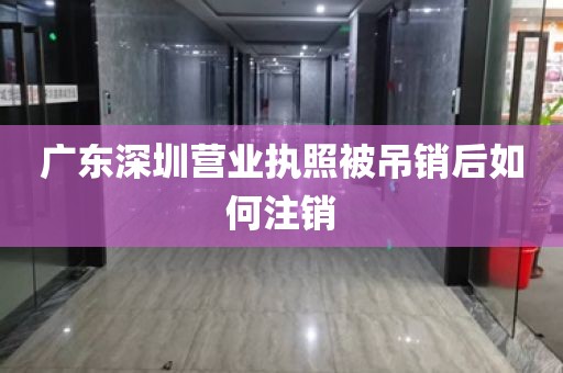 广东深圳营业执照被吊销后如何注销