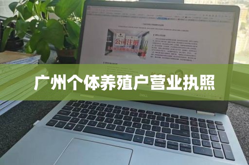 广州个体养殖户营业执照