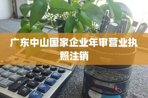 广东中山国家企业年审营业执照注销