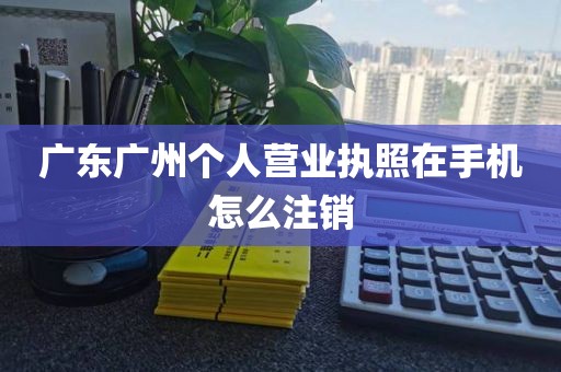 广东广州个人营业执照在手机怎么注销