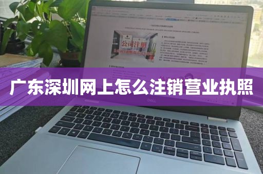广东深圳网上怎么注销营业执照