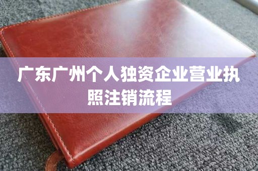 广东广州个人独资企业营业执照注销流程