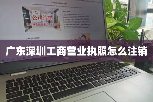 广东深圳工商营业执照怎么注销