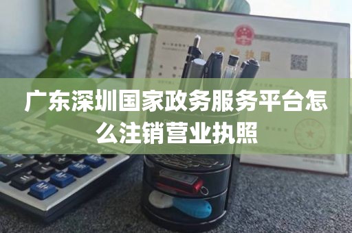 广东深圳国家政务服务平台怎么注销营业执照