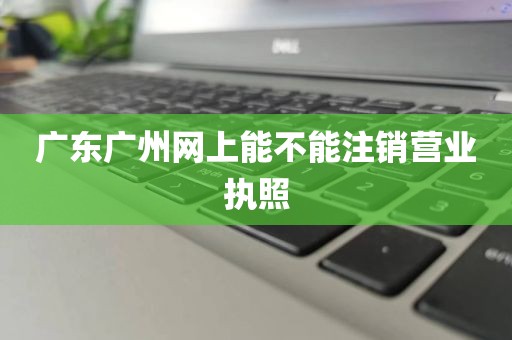 广东广州网上能不能注销营业执照