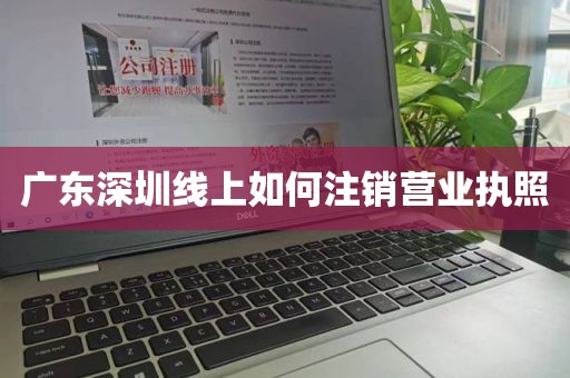 广东深圳线上如何注销营业执照