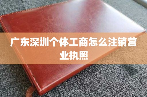 广东深圳个体工商怎么注销营业执照