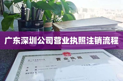 广东深圳公司营业执照注销流程